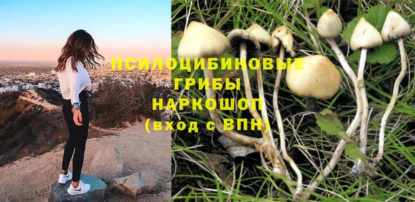 таблы Сосновка